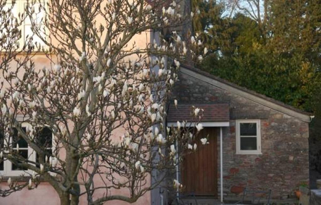 The White House B&B ويلْزْ الغرفة الصورة